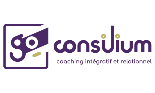 Go Consilium à Antibes