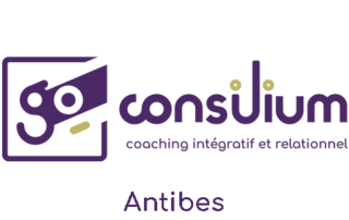 Go Consilium - Antibes