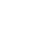 wordpress cms